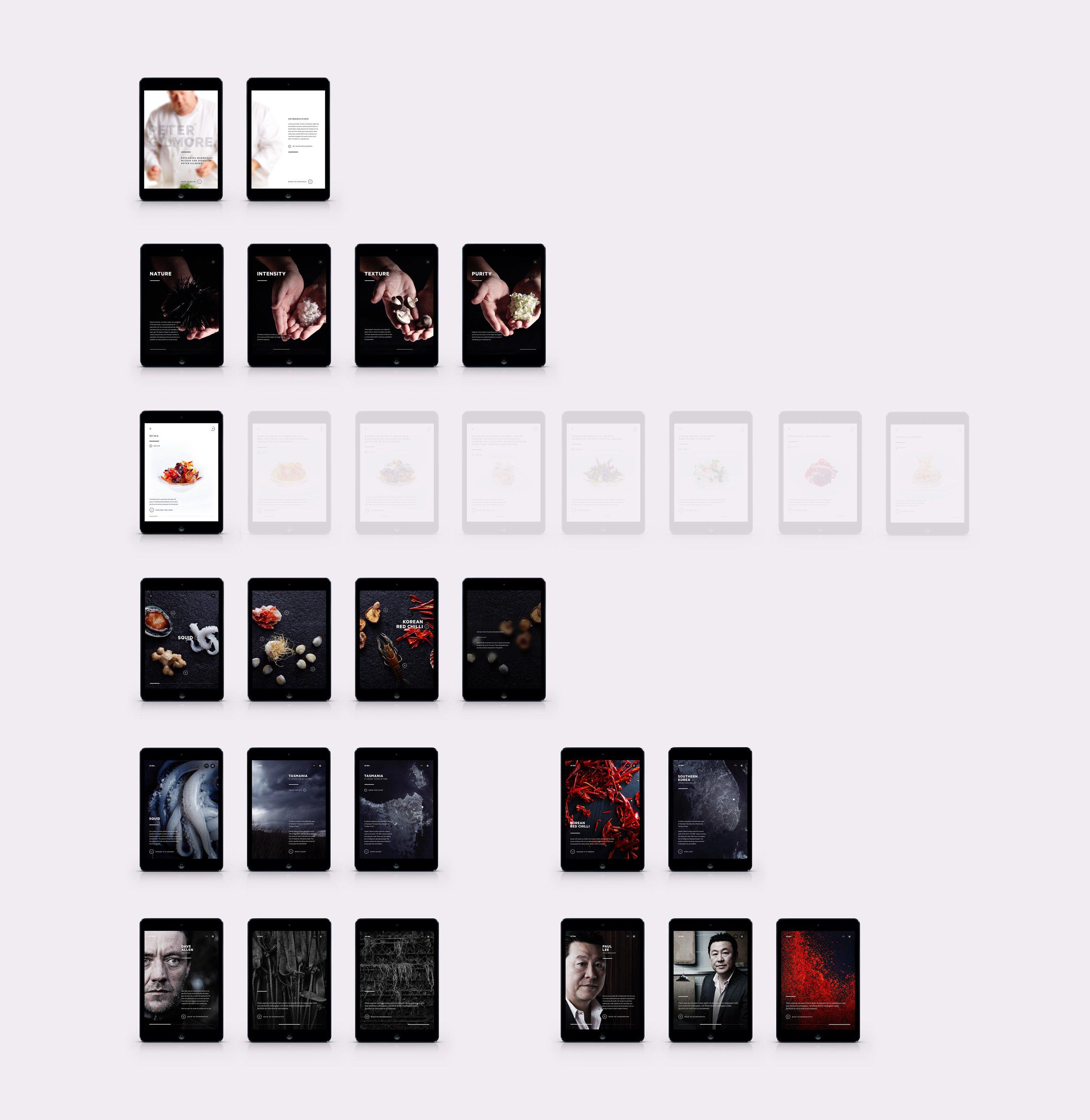 PG App Flow